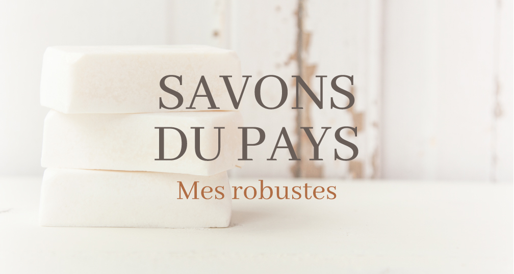savons en barre